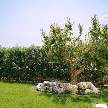 Helloapulia - Capitolo - Pool, Outdoor Kitchen & 别墅